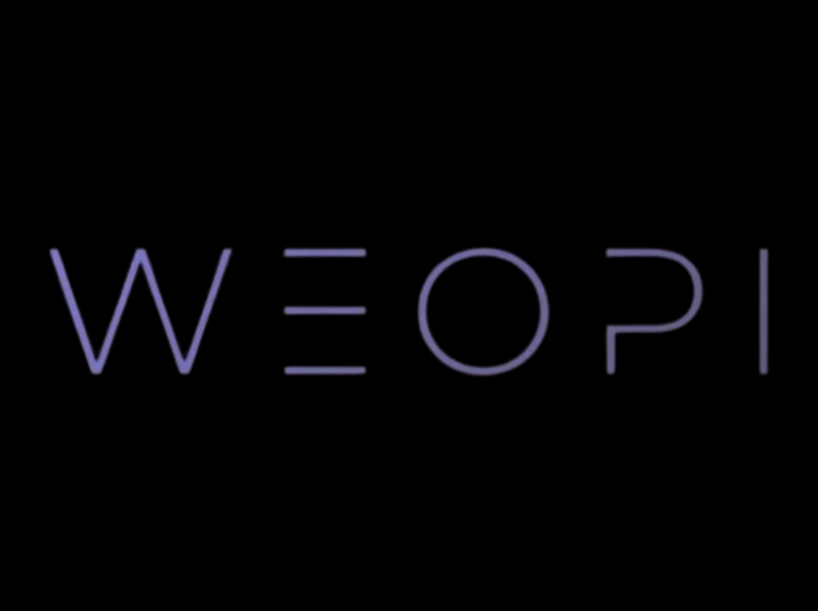 WEOPI - AI Tool for Search