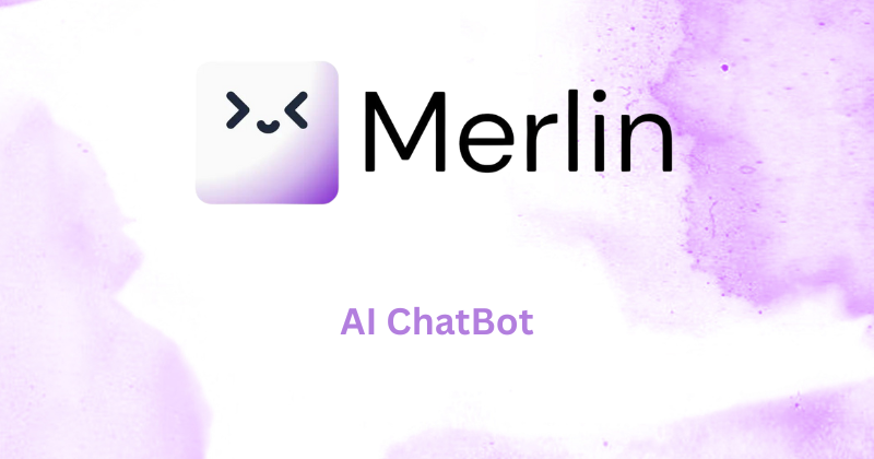 Top AI Chatbots