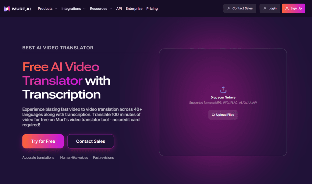 AI video translators